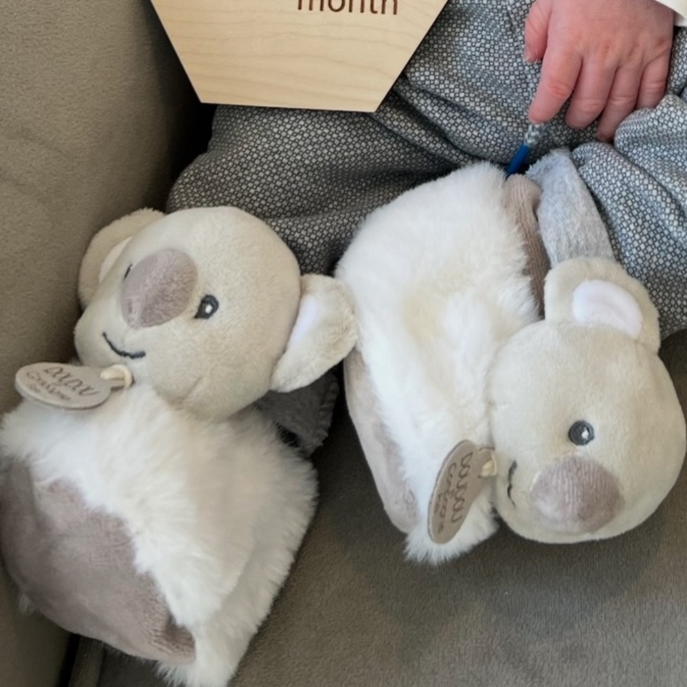 Like New Doudou et Compagnie Koala Slippers 🚭